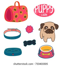 Vector illustration of a collection of pet care objects for the dog: collar, chew toy, rubber bone, bag, bowl and a little puppy pug. A set of accessories isolated on white background. 