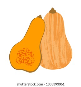 Vector illustration of collection of pumokin isotated on white background. Hand drawn illustration with textures. Whole and sliced vegetable.