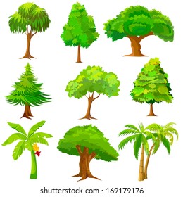 vector illustration of collection of Tree