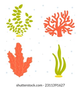 Vector illustration. Collection of underwater algae cartoon clipart. Undersea world. Sea, ocean, river.