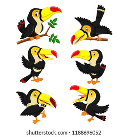 vector illustration of the collection of yellow beak toucan with the different posing