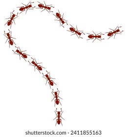Ilustración vectorial de una colonia de hormigas obreras caminando en la misma dirección sobre un fondo blanco. Camino de hormigas caminando buscando comida. Concepto de trabajo duro.