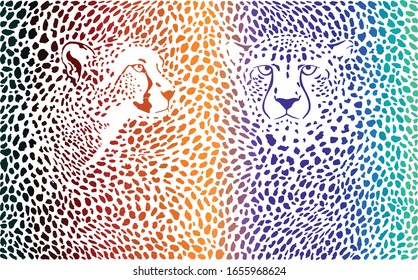 vector illustration color background cheetah skins and with two heads