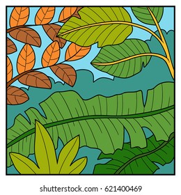 Vector illustration, color background, tropical forest 