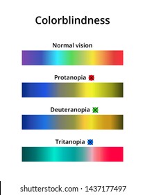 Vector illustration of color blindness or colorblindness. Normal vision, protanopia, tritanopia and deuteranopia. Color vision deficiency spectrum. Decreased ability to see color. Isolated on white.