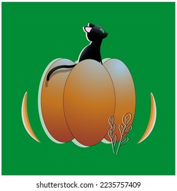 vector illustration in color. the cat sits on a pumpkin. can be used for postcards, stickers, printing on fabric