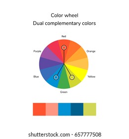 vector illustration of color circle, infographics, palette, dual complementary color, split complementary color
