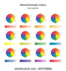 vector illustration of color circle, infographics, palette, monochromatic color, swatches.