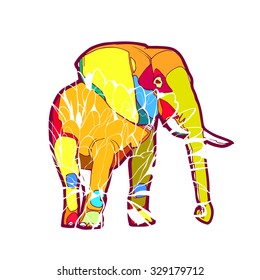 Vector illustration - Color elefant on the white background