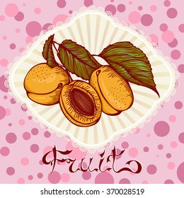 Vector illustration. Color graphic card with apricots. Design for menu, cookbook, sticker, commercial.