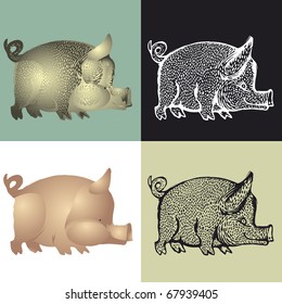vector illustration. Color painted pig and imitation wood engraving
