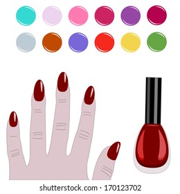 Vector illustration of color palette nail manicure