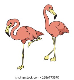 
vector illustration, color sketch. tropical birds set. pink flamingos collection. simple hand drawing isolated on white background. cute clip art for kids