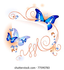 Vector illustration of color summer card