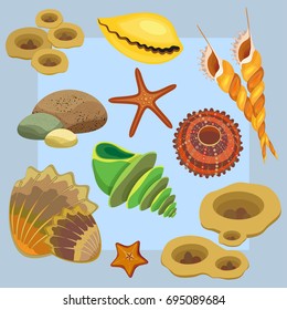 Vector illustration. Color of the underwater world. Set consists of seashells, sea stars and corals on a blue background with a frame.