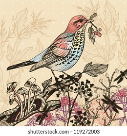 vector illustration of a colored bird and wild plants