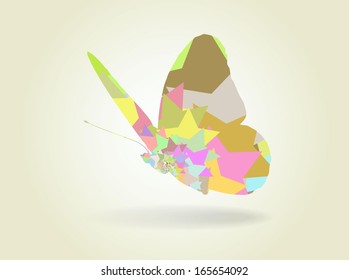 Vector illustration of  colored butterfly
