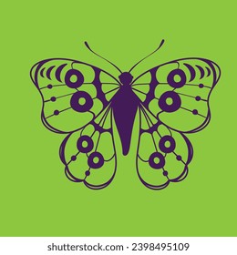 Vector illustration of the colored butterfly