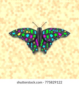 Vector illustration colored butterfly on yellow background.