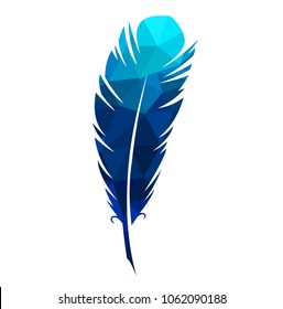 Vector illustration colored colorful magical bird feather pen writer writing