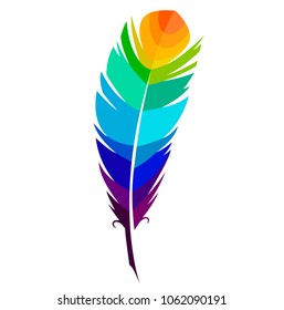 Vector illustration colored colorful magical bird feather pen writer writing