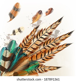 Vector illustration with colored vector feathers for your design