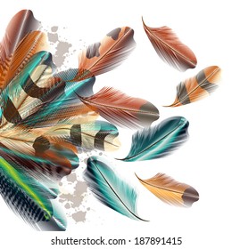 Vector illustration with colored vector feathers for your design