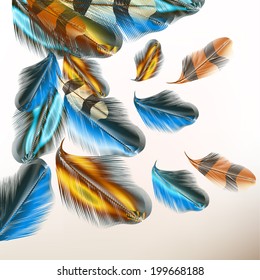 Vector illustration with colored vector feathers for your design