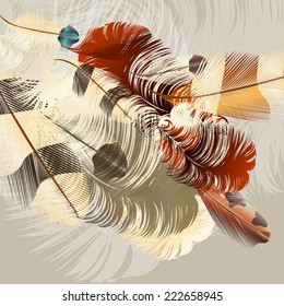 Vector illustration with colored vector feathers for your design