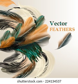 Vector illustration with colored vector feathers for your design