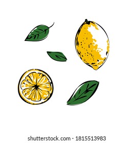 Vector illustration of a colored lemon with leaves on a white isolated background. Shop sketch, banner, menu, and logo. EPS 10