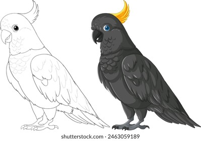 Vector illustration of a colored and line art cockatoo