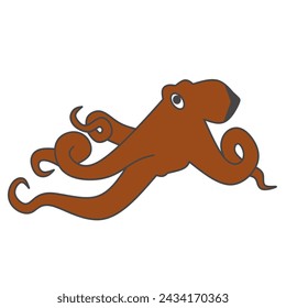 vector illustration of colored octopus on white background