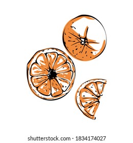 Vector illustration of a colored orange on a white isolated background. Shop sketch, banner, menu, and logo. EPS 10