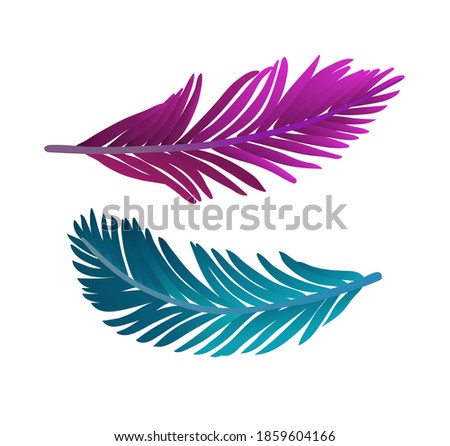Vector illustration of colored plume. Isolated on white background.