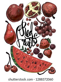 Vector illustration colored in shades of red hand drawn fruit set apple garnet pear grape watermelon raspberry cherry