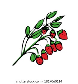Vector illustration of colored strawberries on a white isolated background. Branch with berries. Shop sketch, banner, menu, and logo.