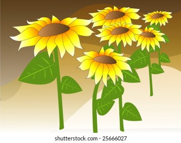 Vector illustration, colored sunflower field with hills