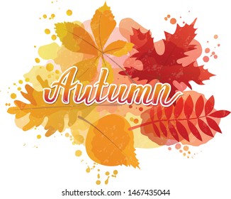 Vector illustration of colorful autumn background with fall leaves and lettering. Watercolor texture. Thanksgiving design.  Template for placard, greeting postcard, autumn sale, web banner template.
