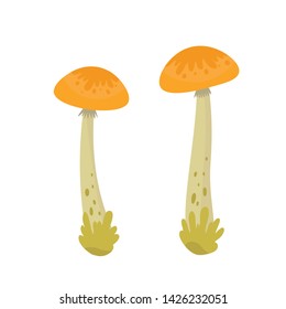 Vector illustration colorful autumn leaves and mushrooms. Fall season. Forest. Simple cartoon flat style. Vector illustration