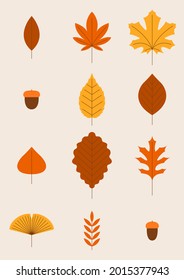 Vector illustration colorful autumn leaves.