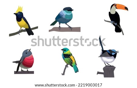 vector illustration with colorful beatiful birds