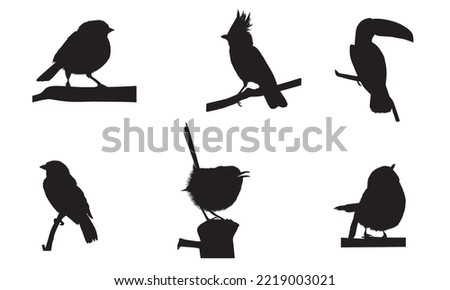 vector illustration with colorful beatiful birds