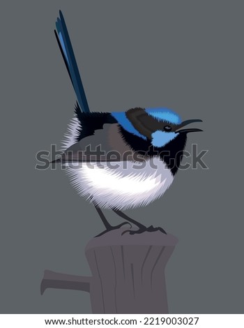 vector illustration with colorful beatiful birds