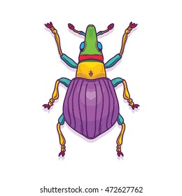Vector Illustration of Colorful Beetle Bug Insect Hand Drawn, Apion artemisiae
