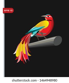 Ilustración vectorial de pájaro colorido