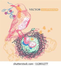 vector illustration of a colorful bird with a nest