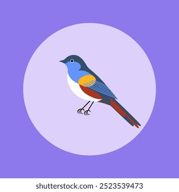 Ilustración vectorial de un pájaro colorido con tonos azules, amarillos y rojos sobre un fondo morado claro. Diseño minimalista, ideal para logotipos, estampados y uso digital.