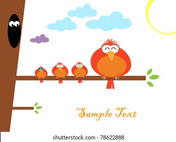 Vector illustration of colorful birds