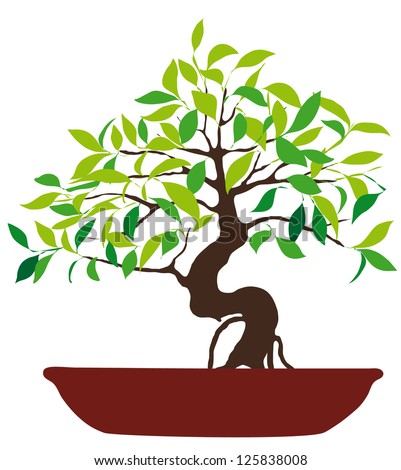 Vector Illustration Colorful Bonsai Tree Isolated Image vectorielle de